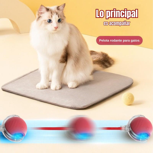 Pelota Mágica para Mascotas