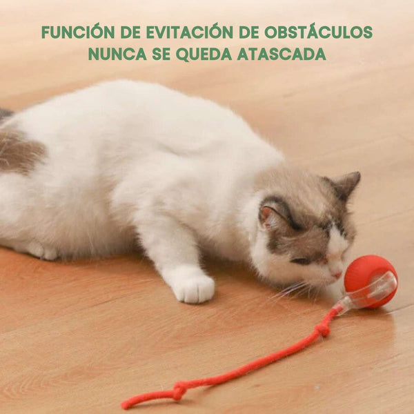 Pelota Mágica para Gatos Felices
