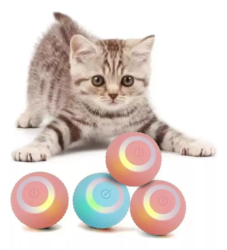 iBall para gatos