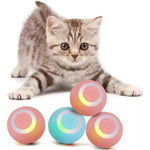 iBall para gatos