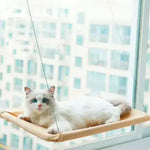 Hamaca Ventanal Gato Seguro