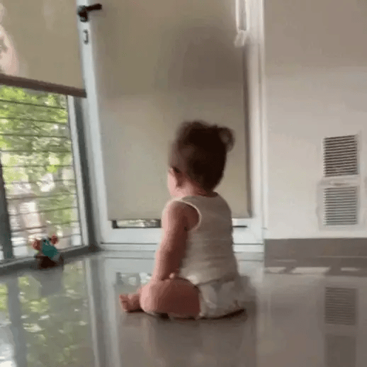 Cangrejito Mágico Musical