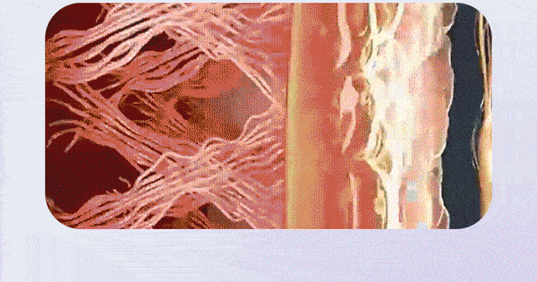 Anillo Masajeador Relax Pro