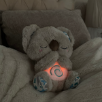 Cómodo Koala Calmante