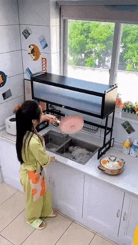 Escurridor Organizador de Cocina