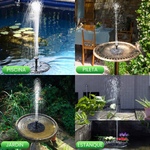 Fuente Solar para Aves