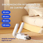 Secador Eléctrico para Zapatos