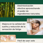 Parche Detox: Renueva Tu Energía (3 PACK X 30 UND)