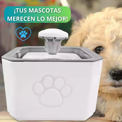 Fuente Automática Saludable para Mascotas