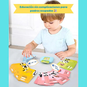 Tarjetas Bilingües VerbaLingo
