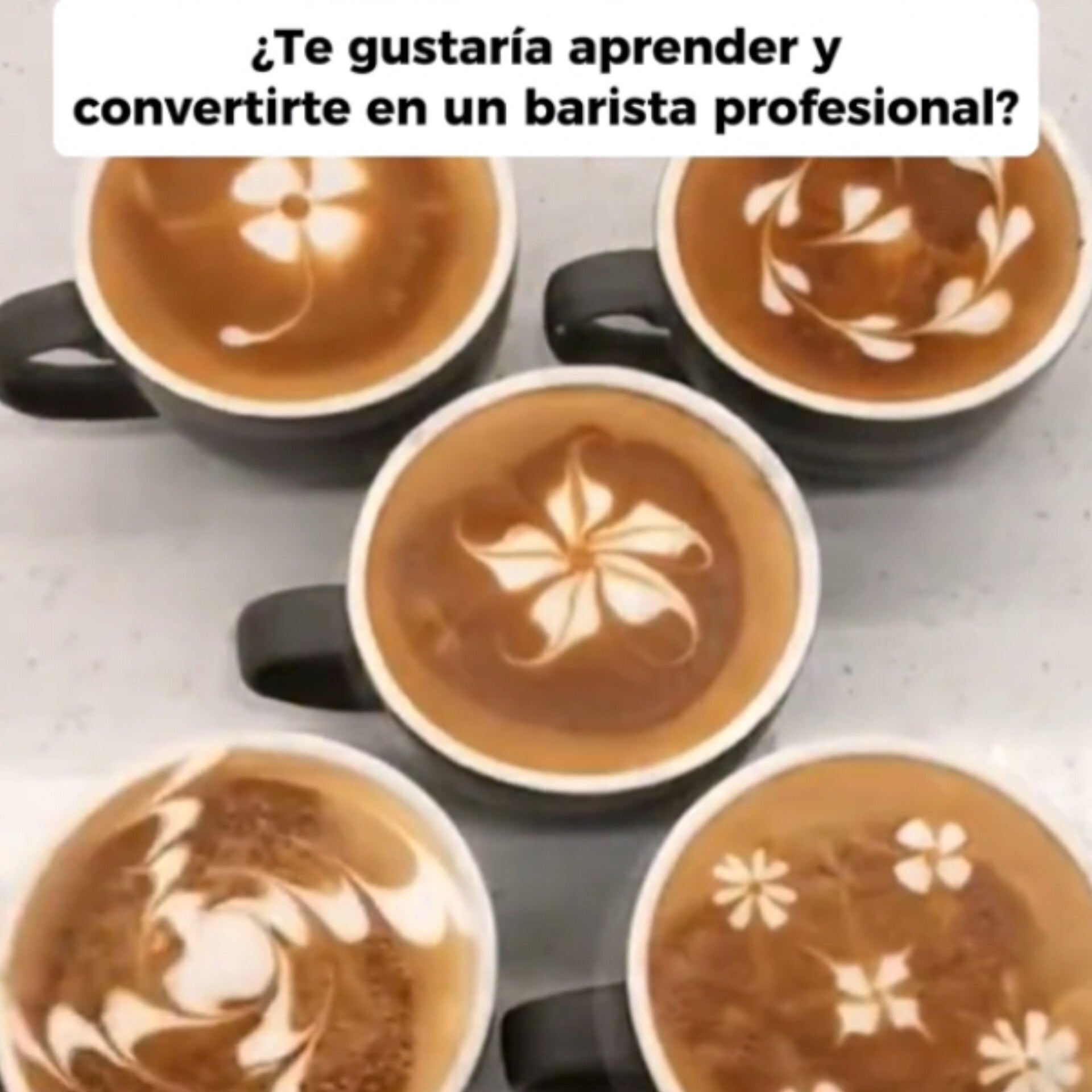 Espumador de Bebidas Rápido