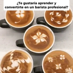Espumador de Bebidas Rápido