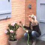 Manguera Expandible Encogible