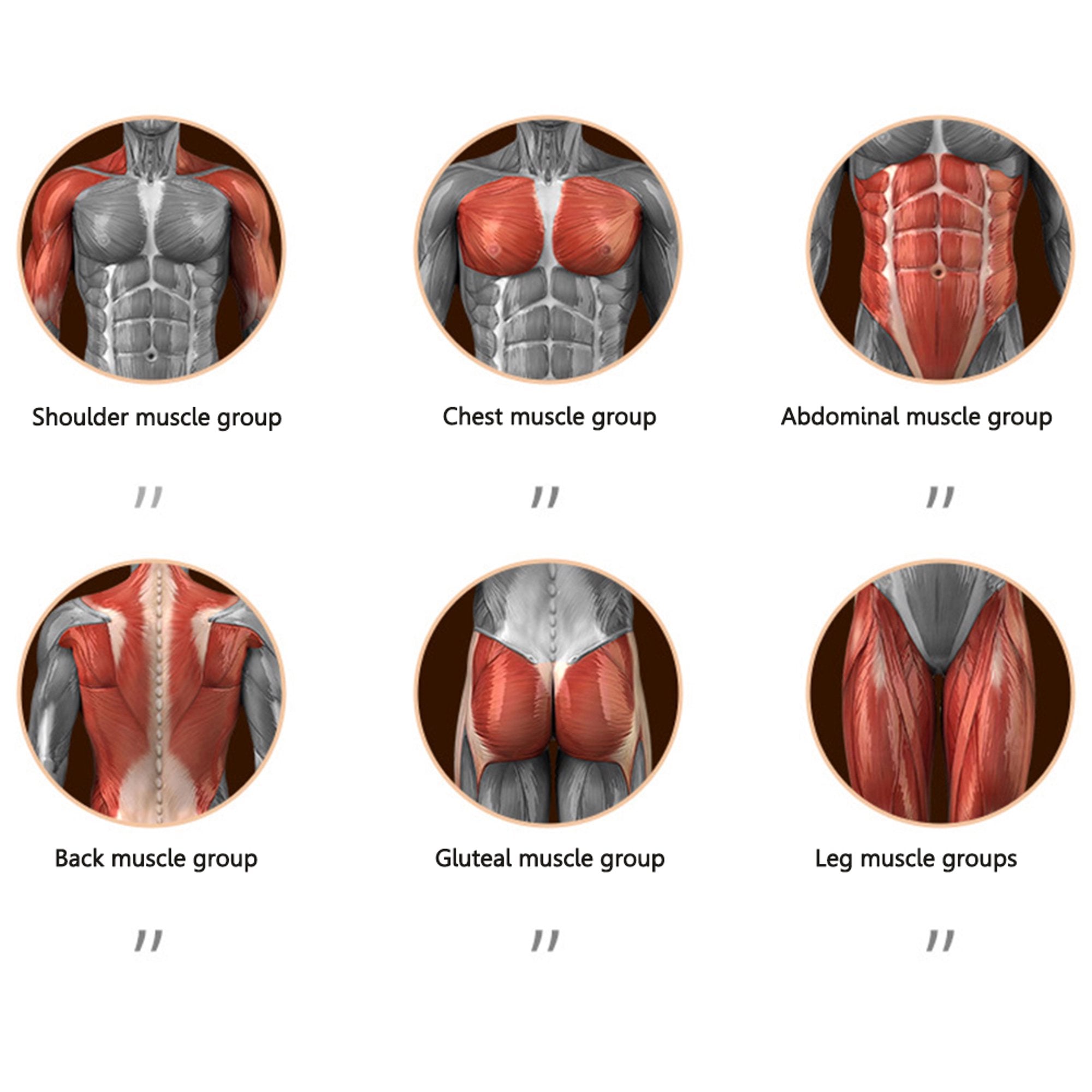 Rueda Abdominal Inteligente