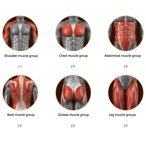 Rueda Abdominal Inteligente
