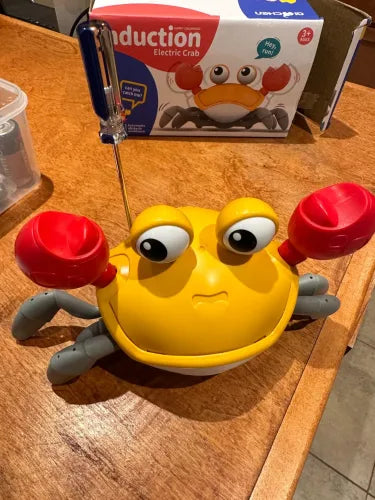 Cangrejito Mágico Musical