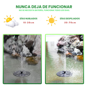 Fuente Solar para Aves