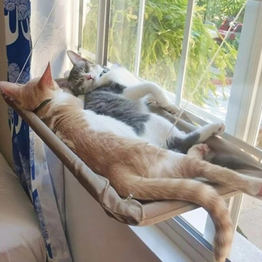 Hamaca Elevada para Gatos