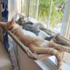 Hamaca Elevada para Gatos