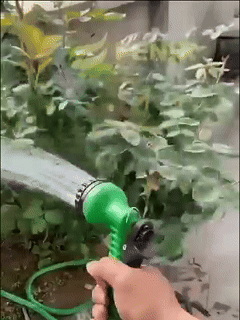 Manguera Extensible Mágica