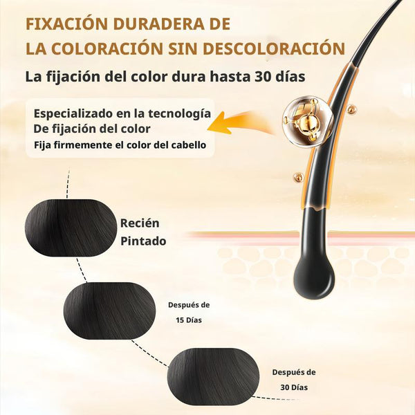 Henna Shampoo Negro Natural
